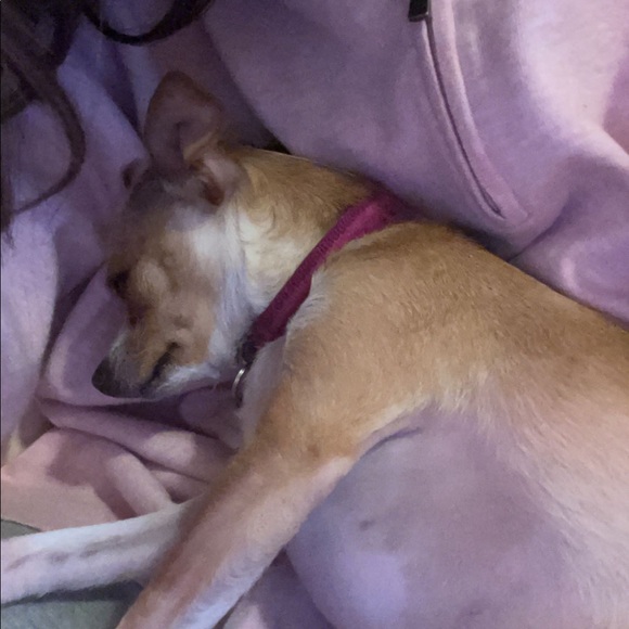 Meet your Posher, Zoë - Picture 8 of 8